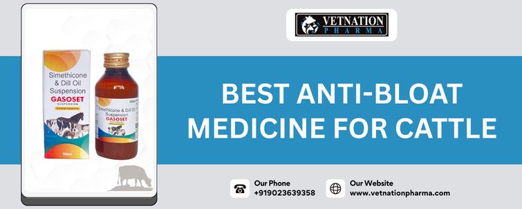 Best Anti Bloat Medicine For Cattle
