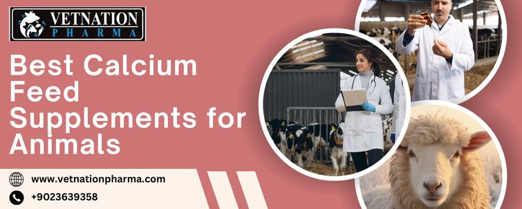 Best Calcium Feed Supplements for Animals