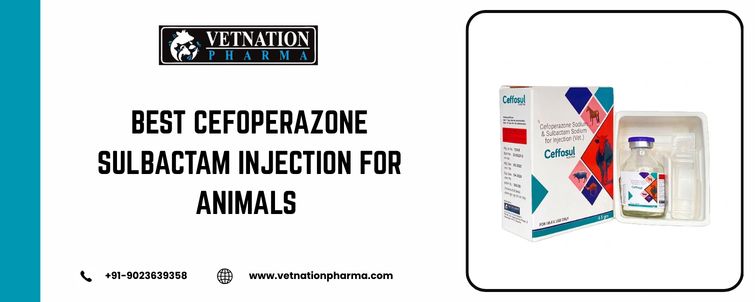 Best Cefoperazone Sulbactam Injection For Animals