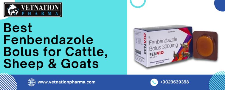 Best Fenbendazole Bolus For Cattle Sheep Goats