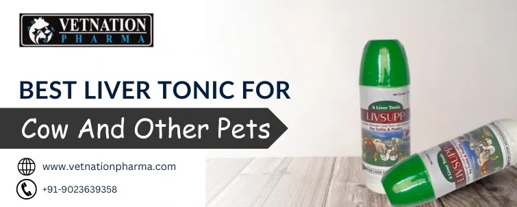 Best Liver Tonic For Cow And Other Pets