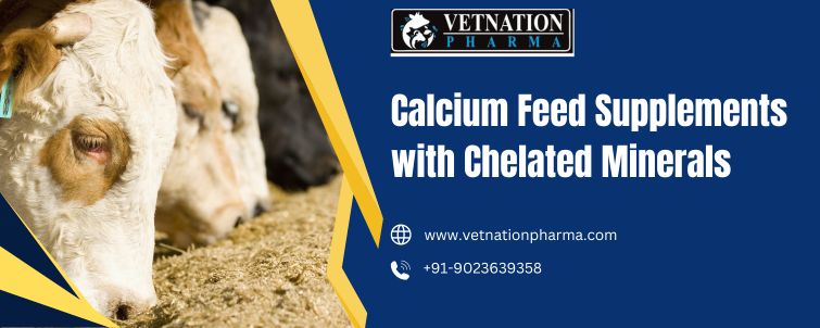 Calcium Feed Supplements With Chelated Minerals