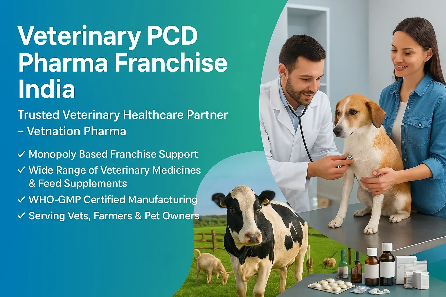 Veterinary PCD Pharma Franchise India