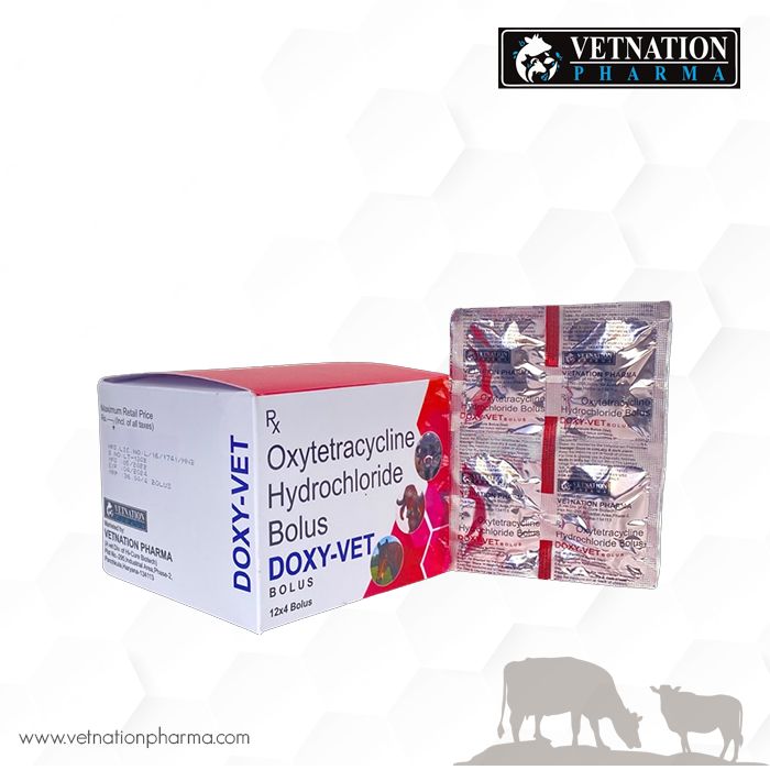 doxy vet bolus