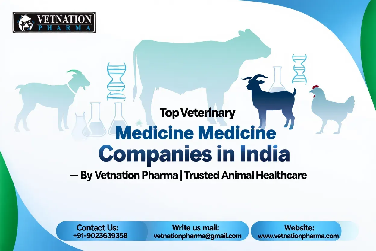Top Veterinary Medicine Companies in India