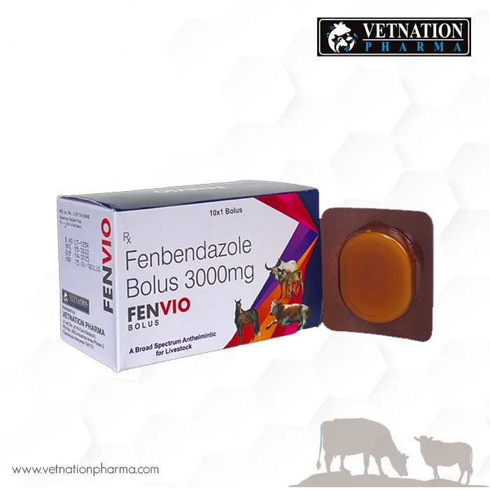 Veterinary PCD Company In India