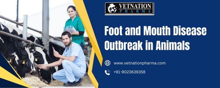 Foot And Mouth Disease Outbreak In Animals