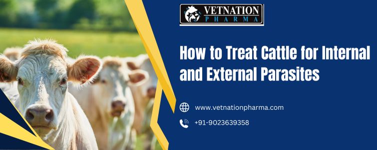 Treat Cattle for Internal and External Parasites