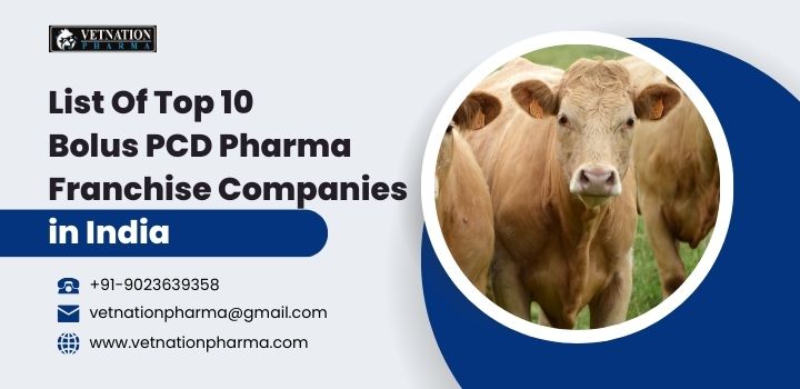 List Of Top 10 Bolus Pcd Pharma Franchise Companies In India