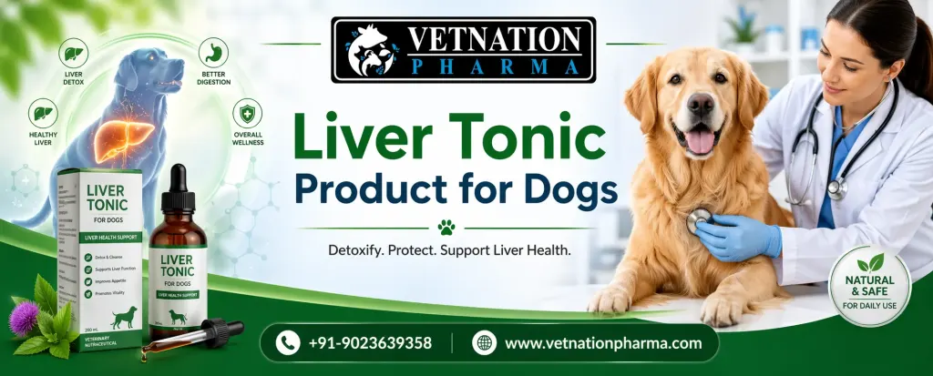 Liver Tonic Product for Dogs