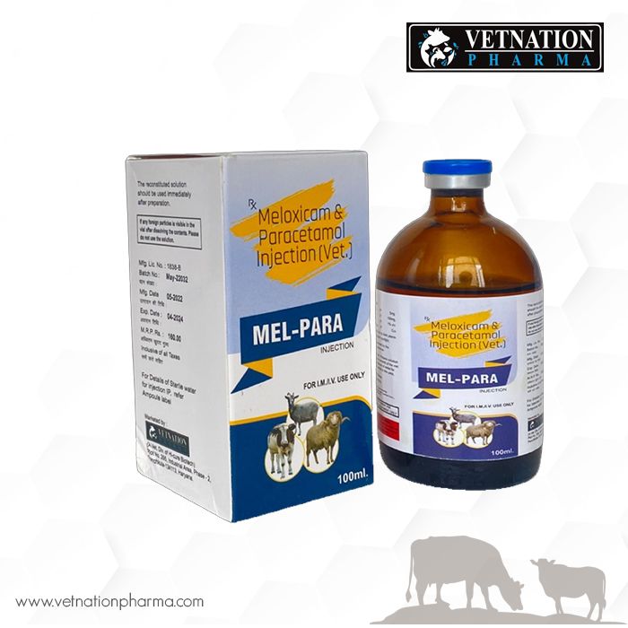 Veterinary PCD Company In India