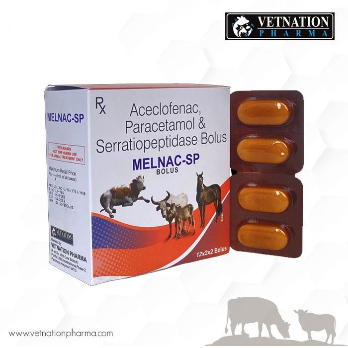 melnac sp bolus