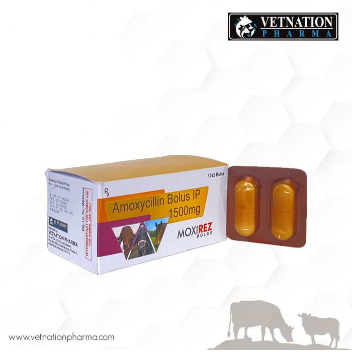 moxirex bolus