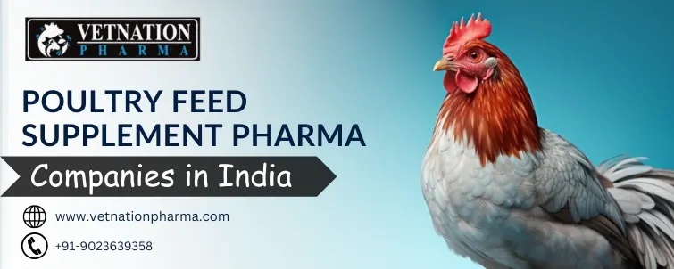 Poultry Feed Supplement Pharma Companies in India