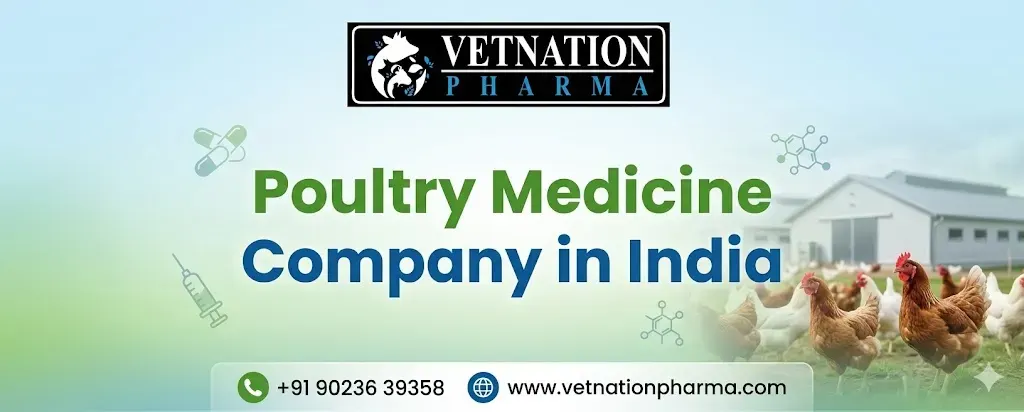 Poultry Medicine Company In India