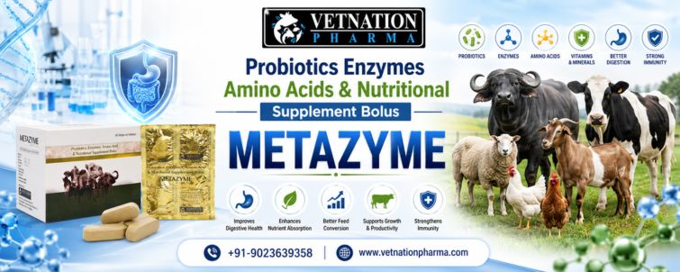 Probiotics Enzymes Amino Acids Nutritional Supplement Bolus 1