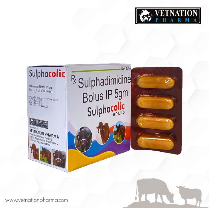sulphacolic bolus