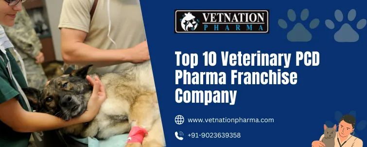 Top 10 Veterinary PCD Pharma Franchise Company