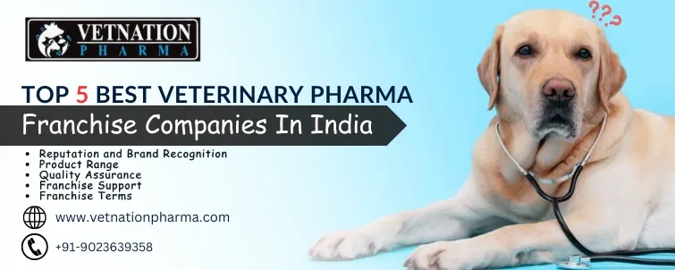 Top 5 Best Veterinary Pharma Franchise Companies In India