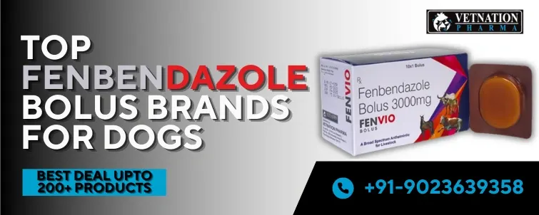Top Fenbendazole Bolus Brands For Dogs