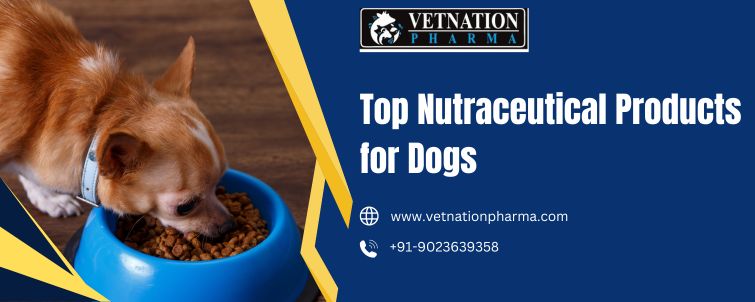 Top Nutraceutical Products for Dogs