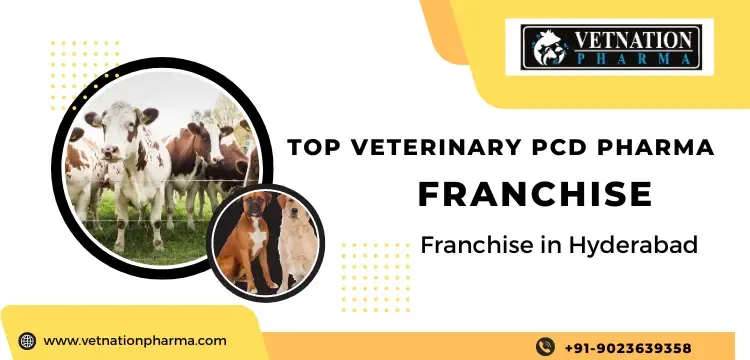 Top Veterinary PCD Pharma Franchise in Hyderabad