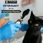 Veterinary