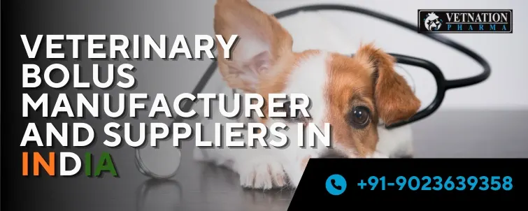Veterinary Bolus Manufacturer And Suppliers In India