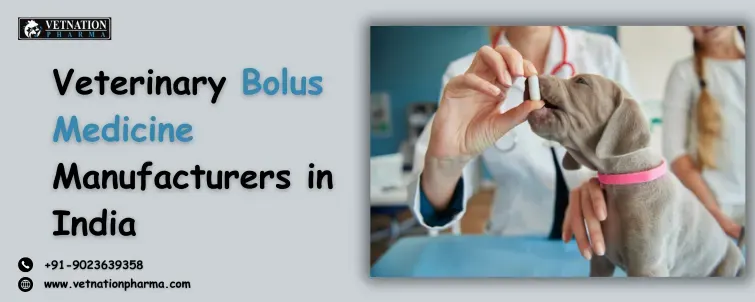 veterinary bolus medicine manufacturers in india