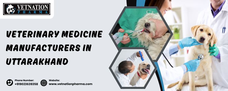 Veterinary Medicine Manufacturers In Uttarakhand