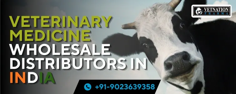 Veterinary Medicine Wholesale Distributors In India