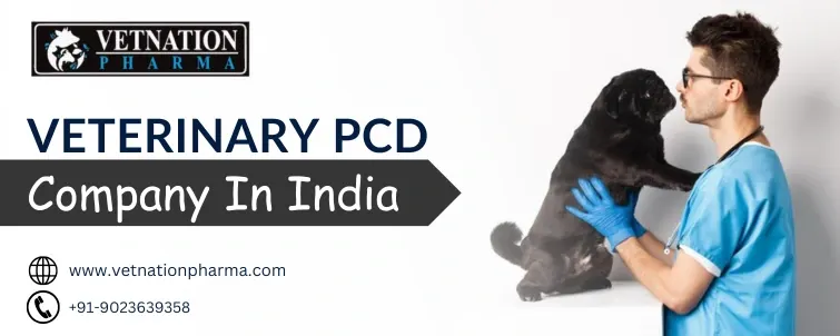 Veterinary Pcd Company In India
