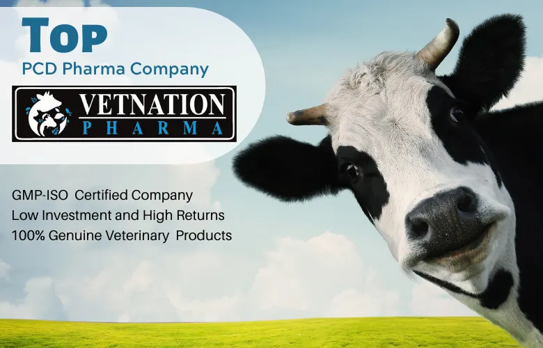 Veterinary PCD Franchise