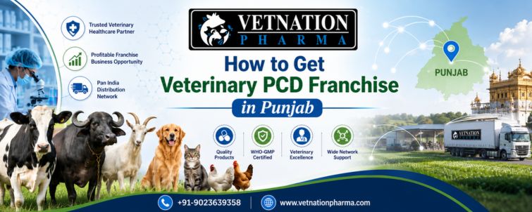 veterinary pcd franchise in punjab