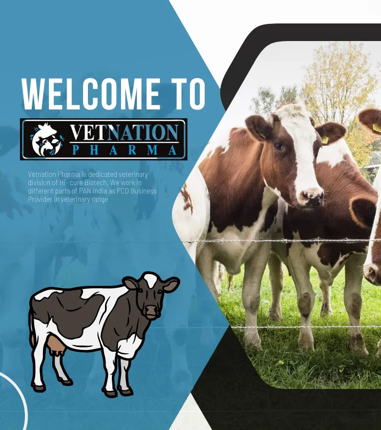 Best Veterinary Pharma Company