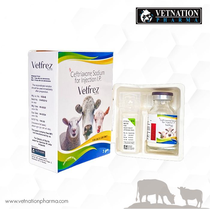 Best Veterinary PCD Pharma Franchise Companies