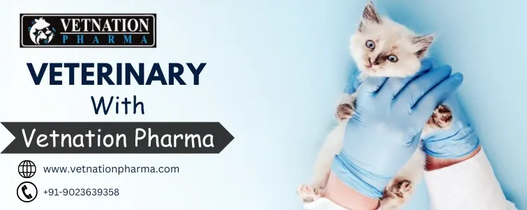 Veterinary With Vetnation Pharma 1