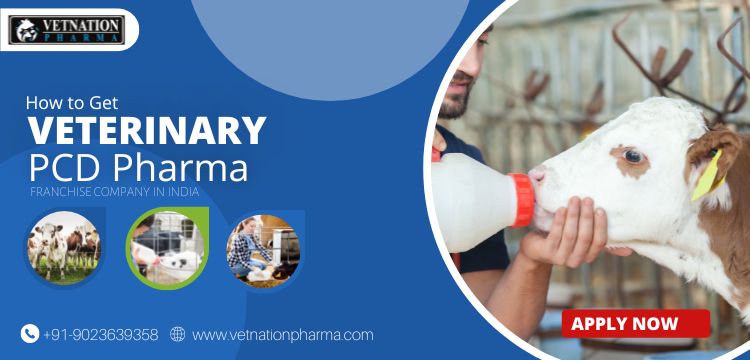 Veterinary PCD Company in Gujarat