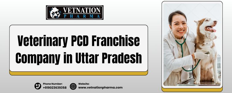 Veterinary PCD Franchise Company in Uttar Pradesh