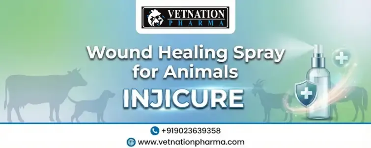 Wound Healing Spray For Animals